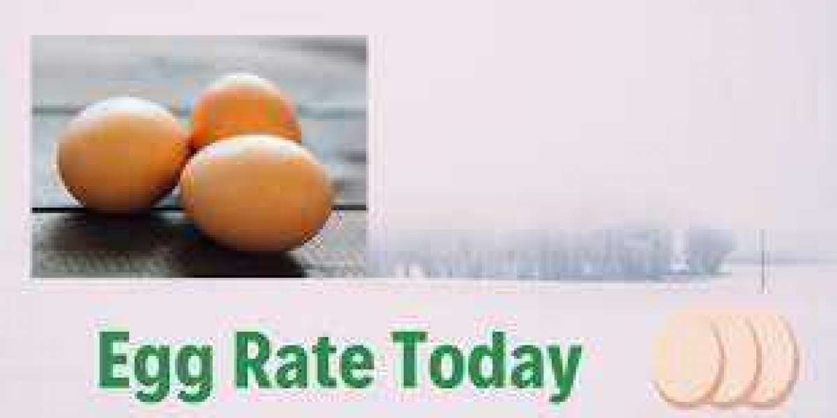 Necc egg rate today