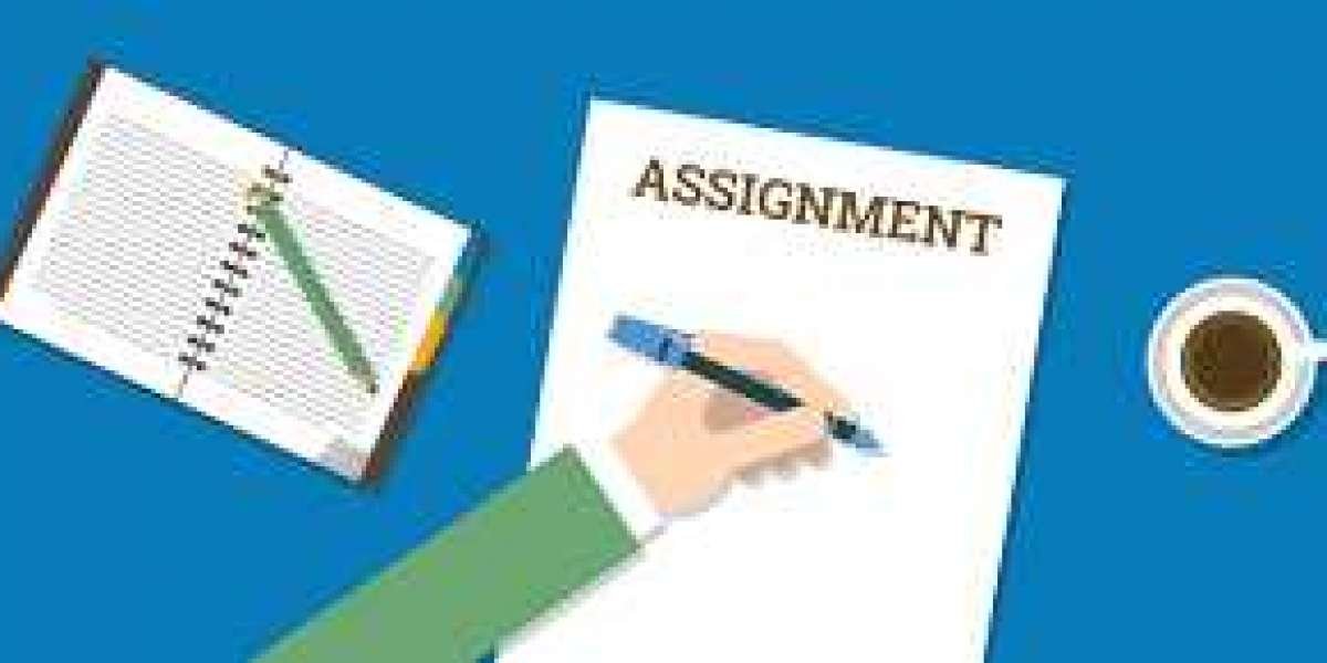 Allassignmenthelp provides assignment services