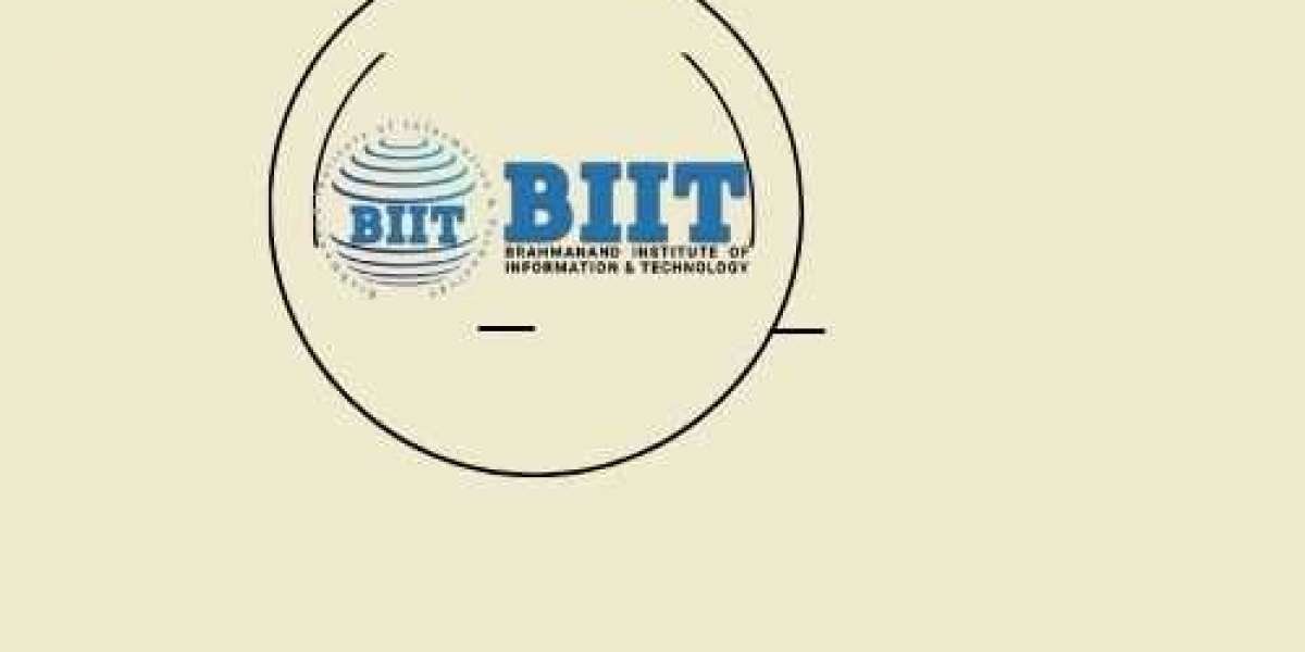 Why BIIT New Delhi Is The Best Choice For Learning Tally?