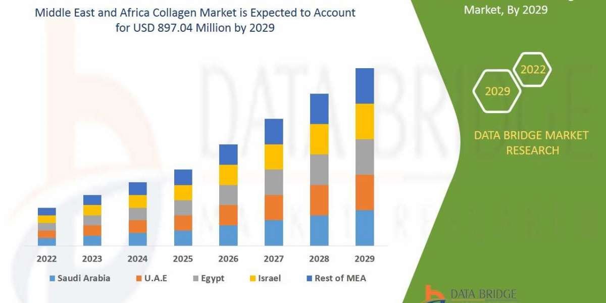 Middle East and Africa Collagen Market Analysis on Size,Cost Structure, Prominent Key Players Analysis and Forecast