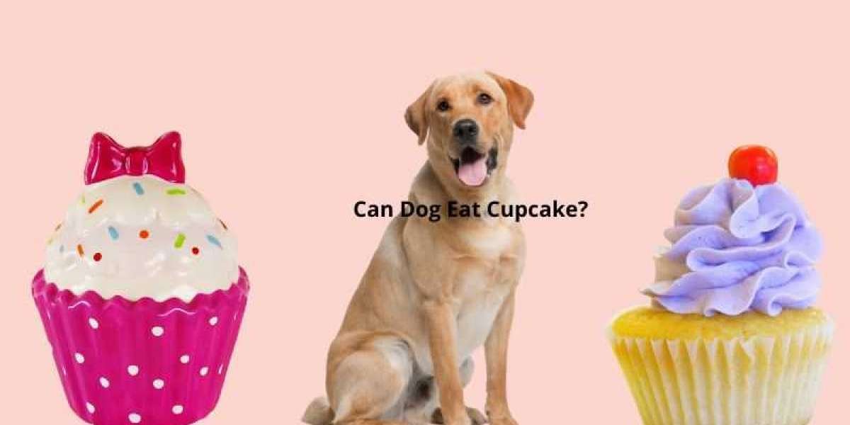 Can Dogs Eat Vanilla Cupcakes in detail?